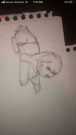 Custom drawings