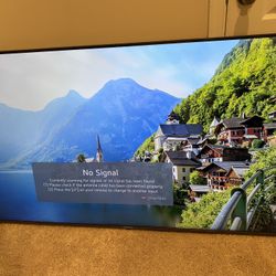 LG 65” TV 