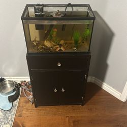 10 Gallon, Filter, Heater, Natural Decorations