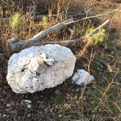 Large Quartz Rock