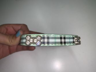 Dog collar