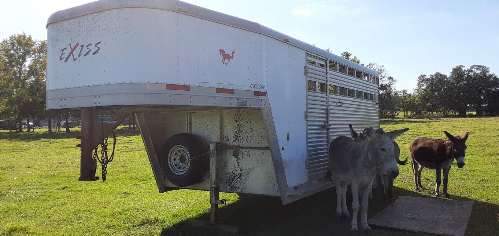 Exiss 3 horse slant horse trailer, stock combo with large tack room for sale.title in hand