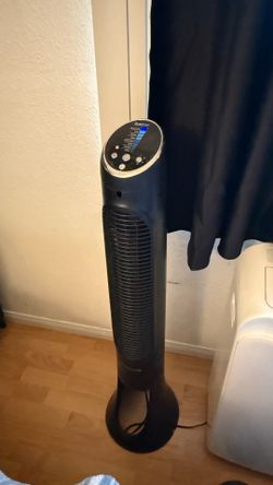 2 Fans, Pelonis and Quiet Set