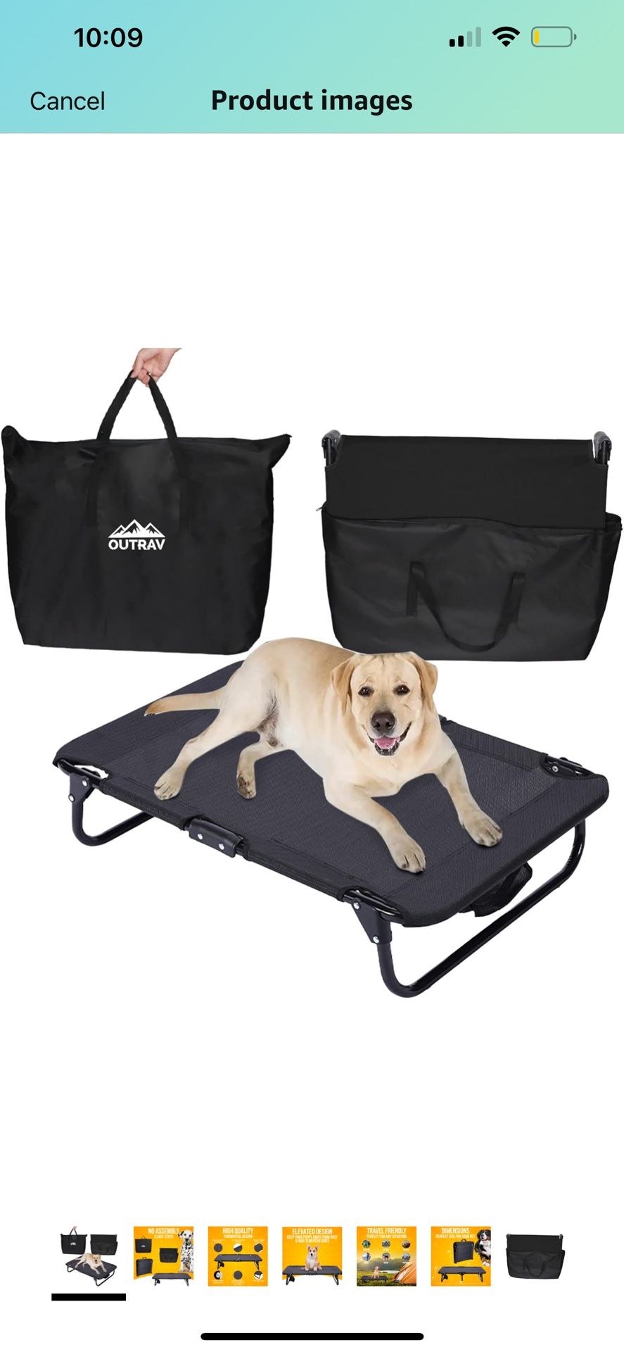 Elevated Dog Bed 