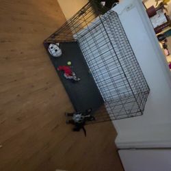 XL dog Crate