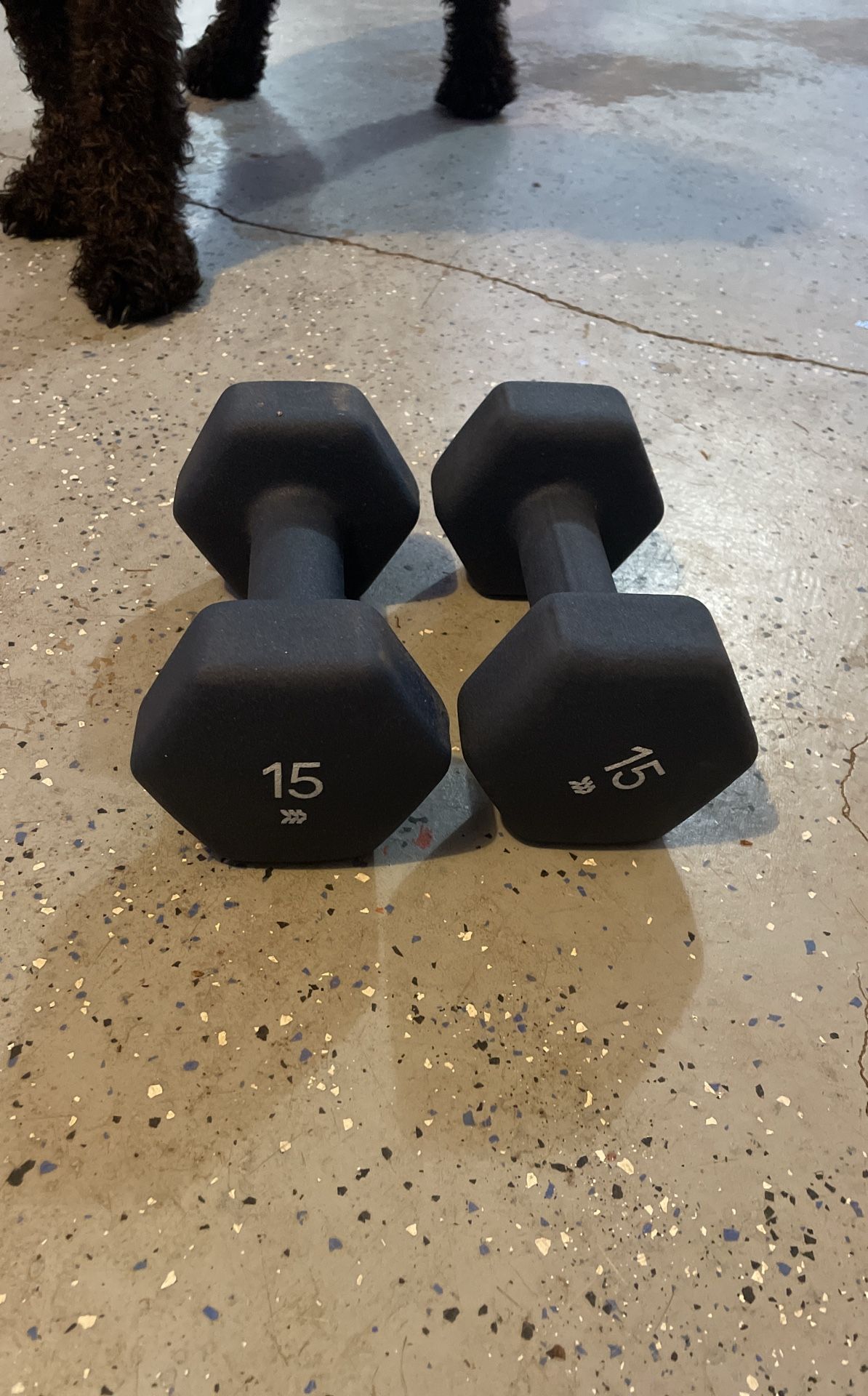 Pair Of 15lb Dumbells