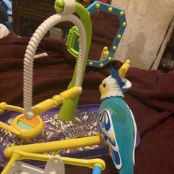 Little live pets clever keet