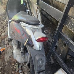 2007 Torpedo Moped