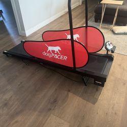 Dog Pacer Dog Treadmill 