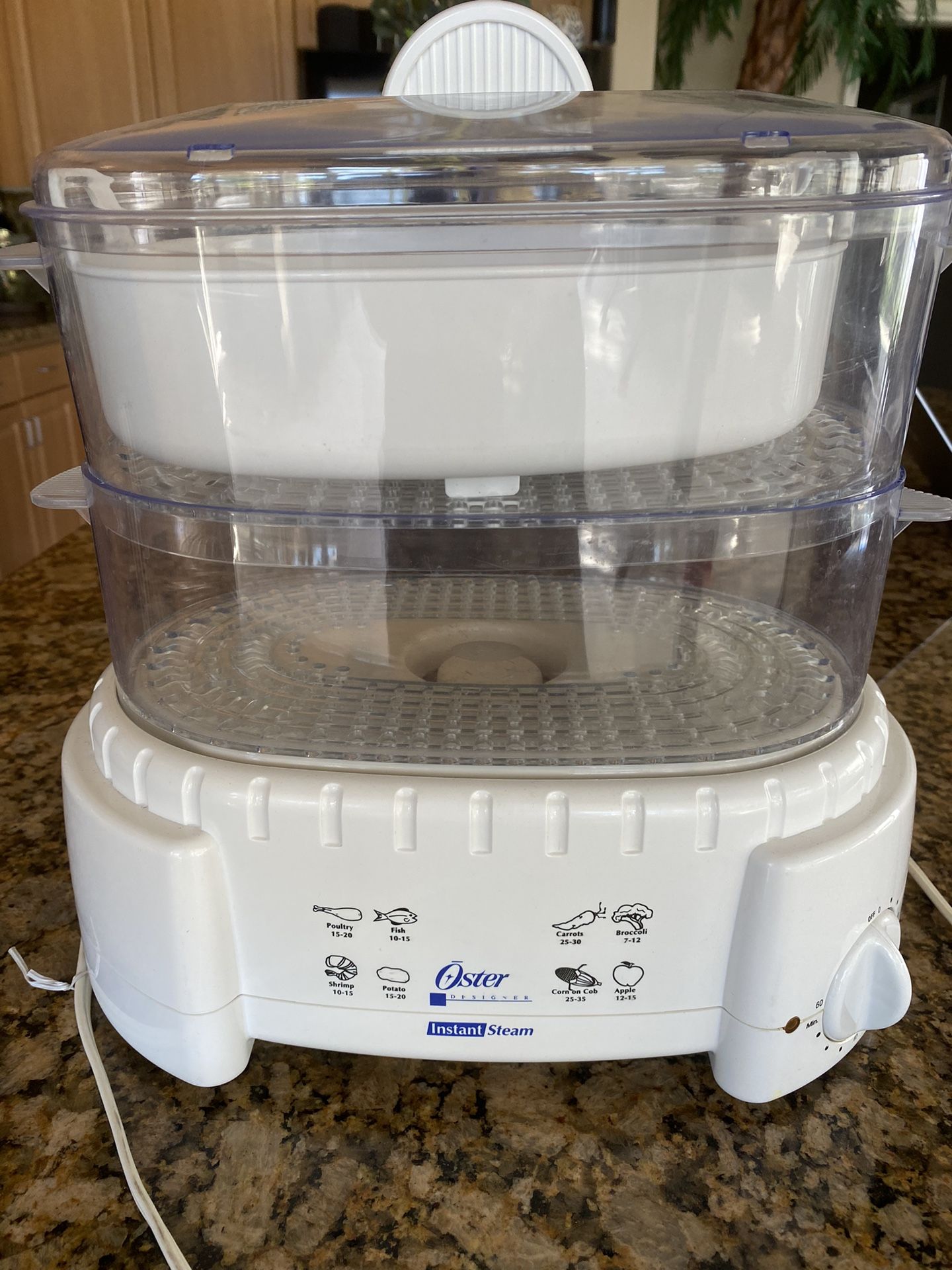 OSTER Electric Steamer