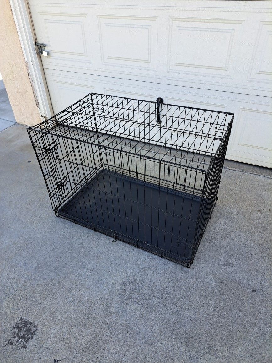 Dog Case