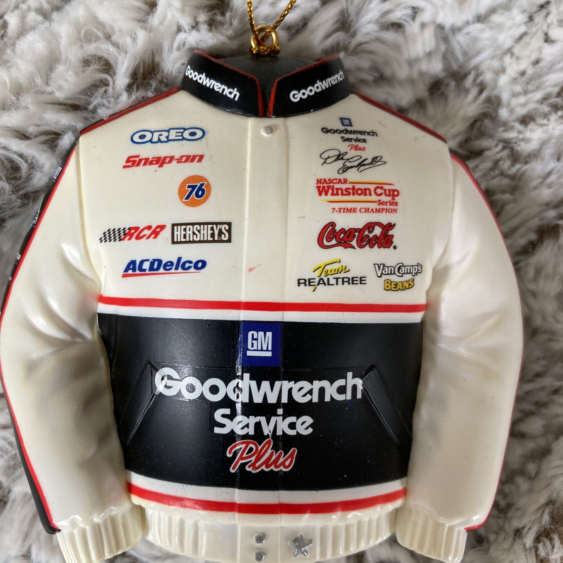 Dale Earnhardt 3