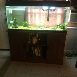 Aquarium
