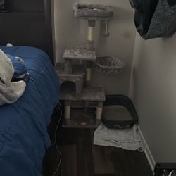 Cat Tower 