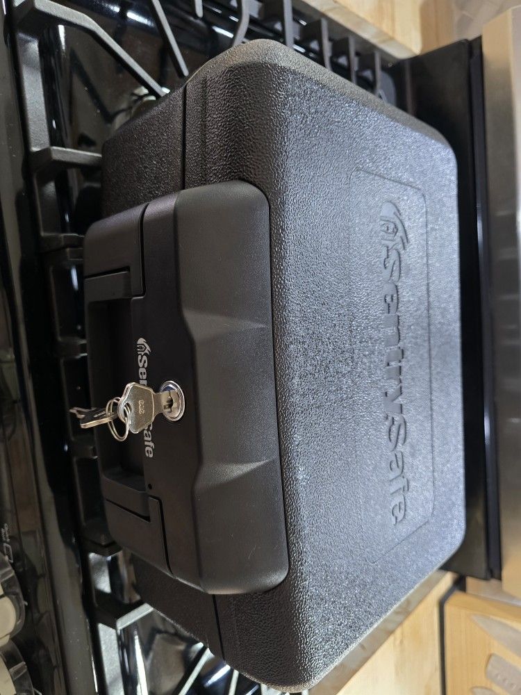 Sentry Safe (Never Used)