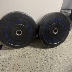 Everyday Fitness 45 lb Olympic Bumper Plates – Pair