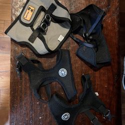 Assorted Dog Body Collars