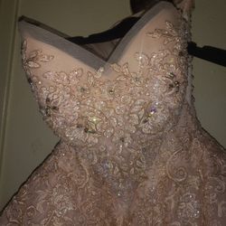 Leonia Lee Quince Dress Size Extra Small,retail Price $599