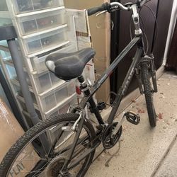 Sedona Medium Bike 