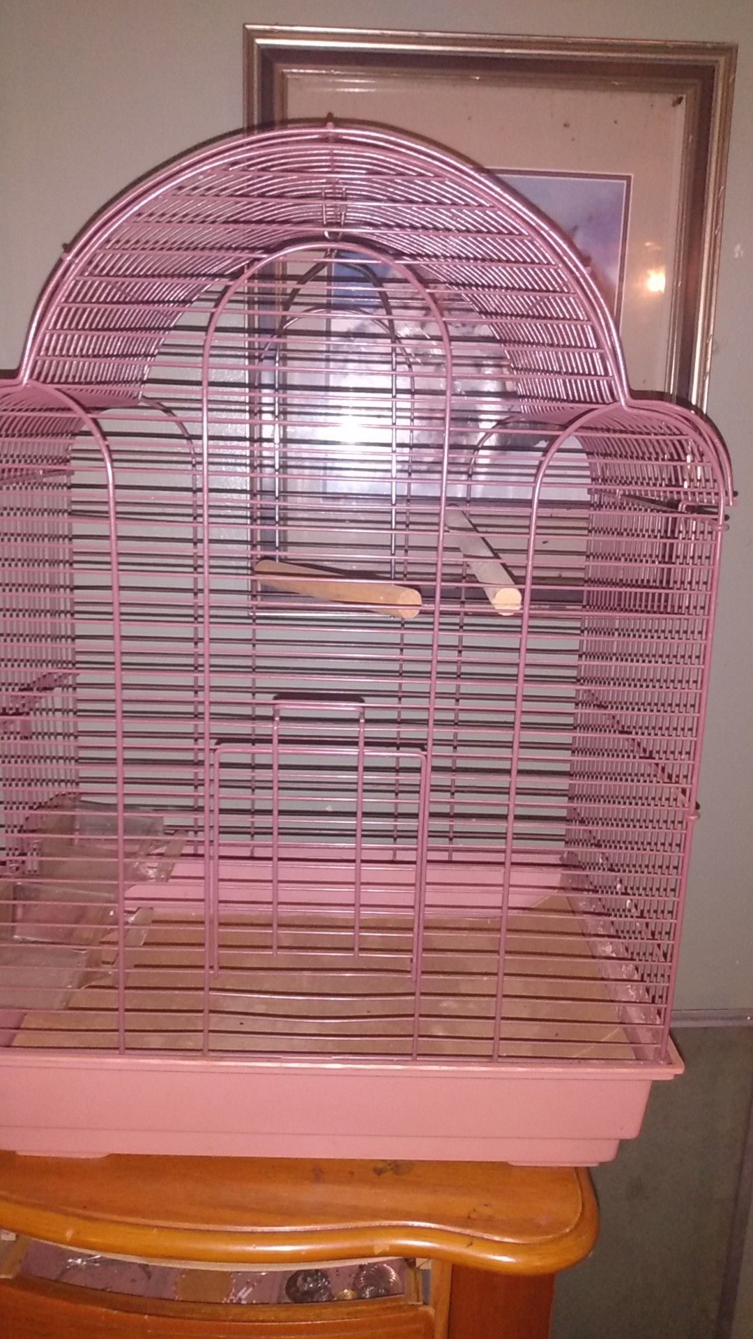 Cute Pinkish Bird cage