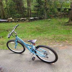 Giant MTX 24