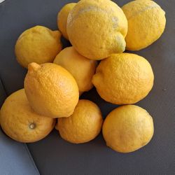 Lemons, End Of Season Special Bag Of 25,  $5!!