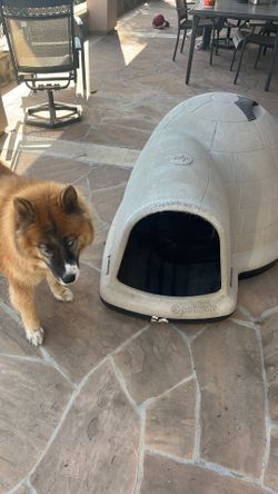 Xl Petmate Indigo Dog House