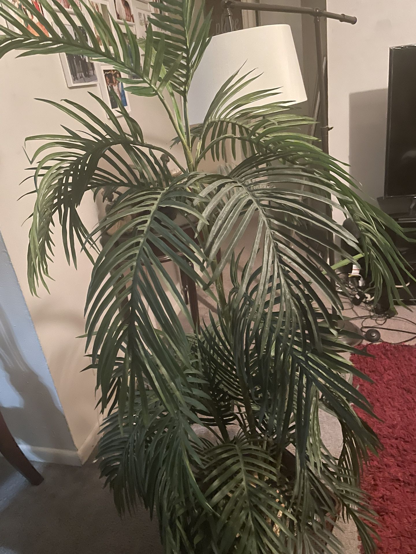 Fake Palm Tree 