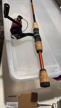 Fishing rod with  reel