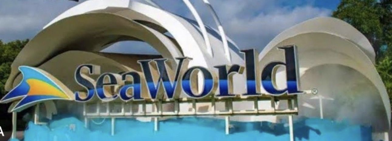 SEA WORLD TICKETS!! 🐠🐟🦈🐬