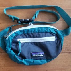 Patagonia Small Fanny Bag $20