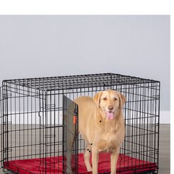 Used Kong Dog Kennel