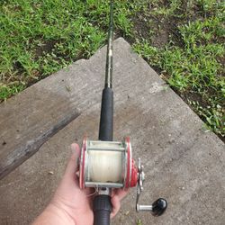 Penn Senator 113H Reel On A Andes Rod