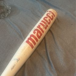 Marci Cat 7bat.