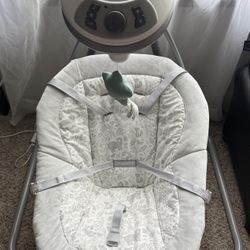 Graco Infant Swing