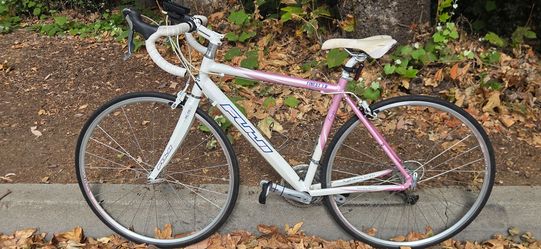 Fuji Fitness 1.0 Women's Road Bike