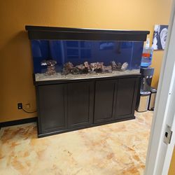 150 Gallon Acrylic Aquarium