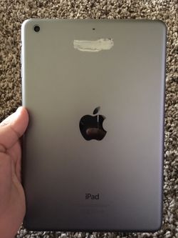 IPad Mini With Case