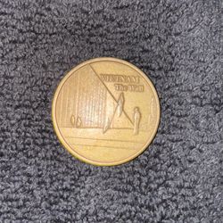 Vietnam Wall Coin 