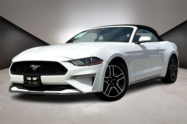2022 Ford Mustang