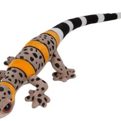 Chinese Cave Gecko (Toy) And Setup