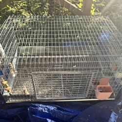 Bunny Cage 