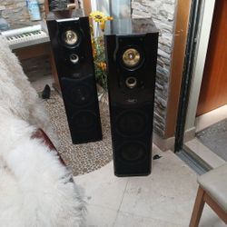 Digital Research Floor Speakers 