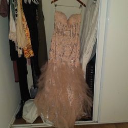 Beautiful stunning Gown 