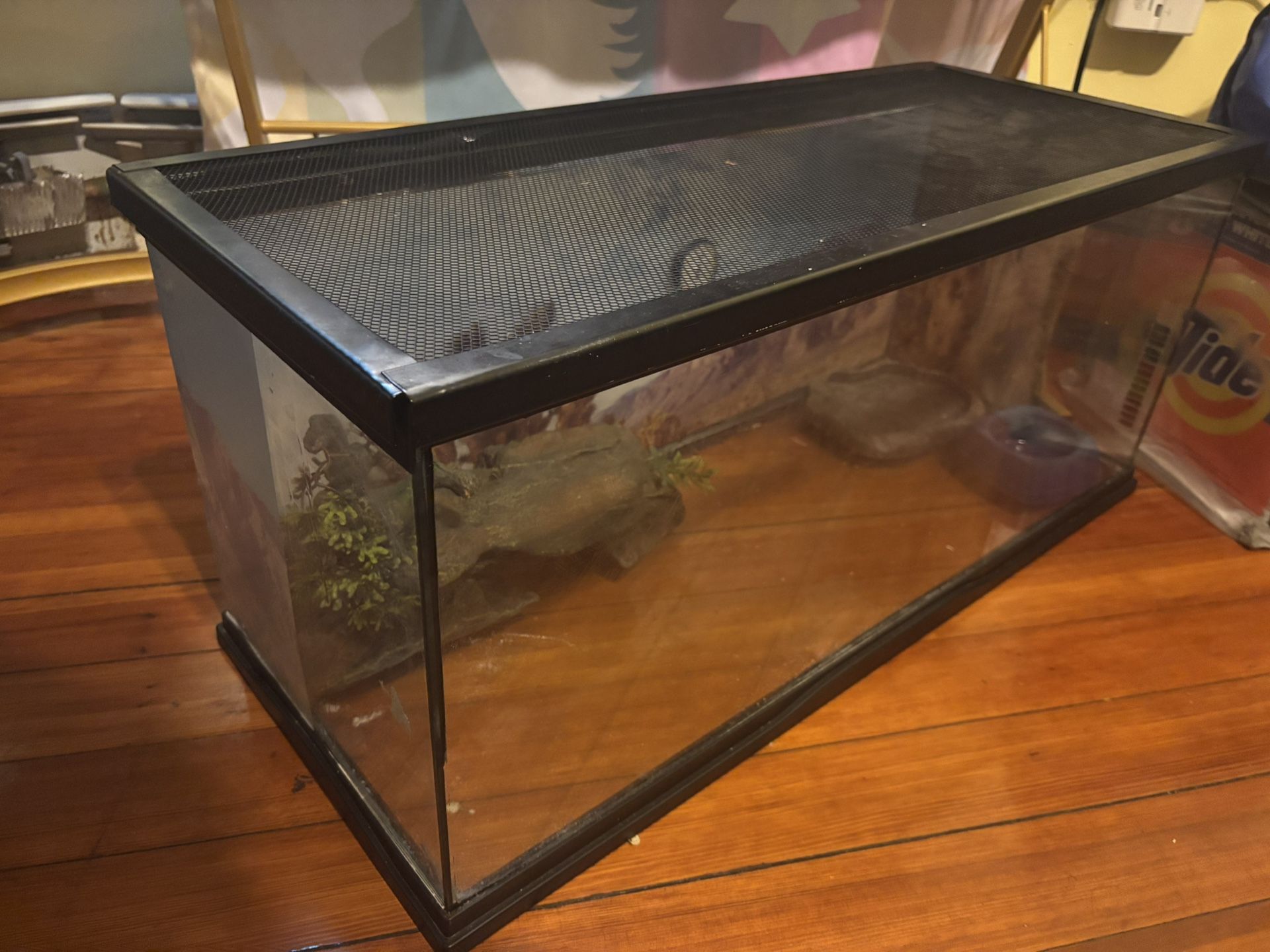 20 gallon Reptile Tank