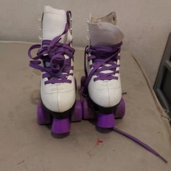 Roller Skates 