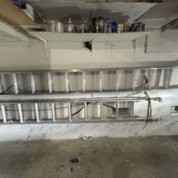 Ladders 