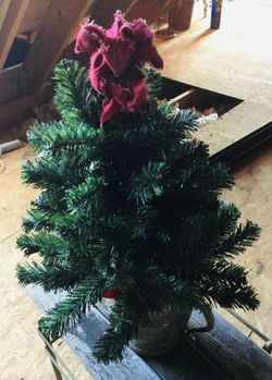 Small Christmas Tree In Silver Pitcher