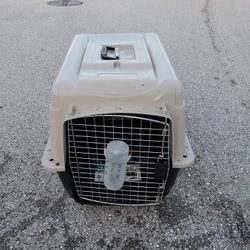 PET CRATE WITH Water Bottle