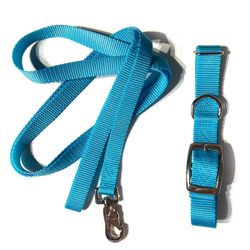 Teal Dog collar And Leash Set 